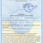заключение СЭС